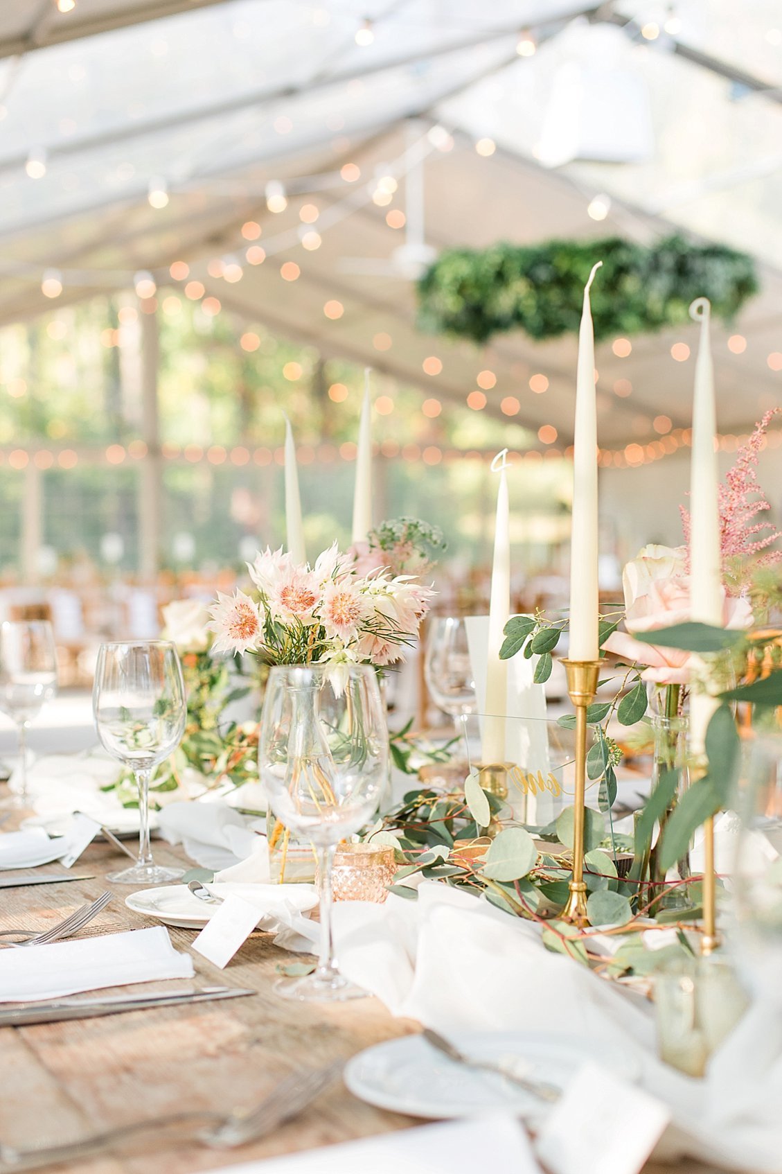 frank-2018-03-23_0130