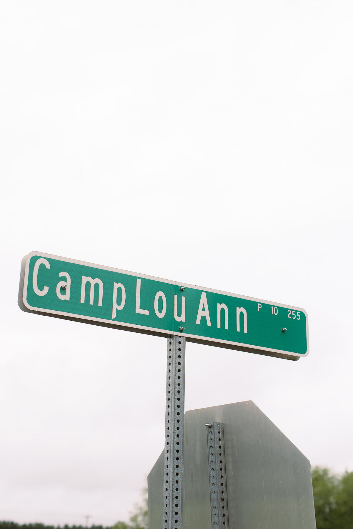 Colorful Tented Wedding At Family Home In South Carolina0002