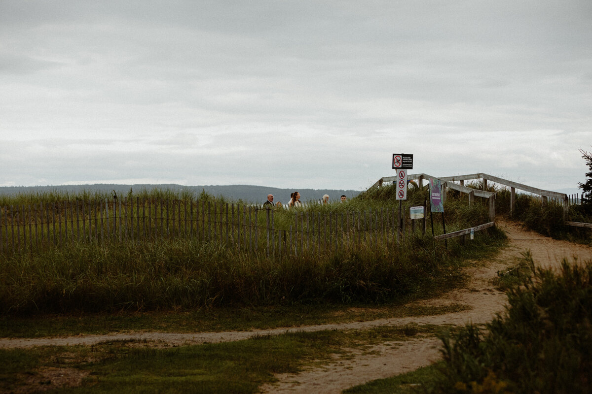 guests waiting for the bride and groom near a wild grass covered sand dune
