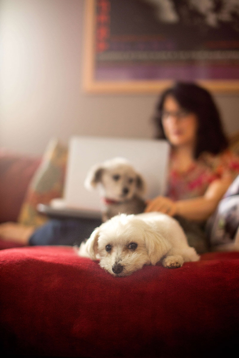 Korey_Howell_Photography_Group_Womens_Branding_Frisco_Womens_Branding_Photoshoot_Casual_Workstyle_puppies