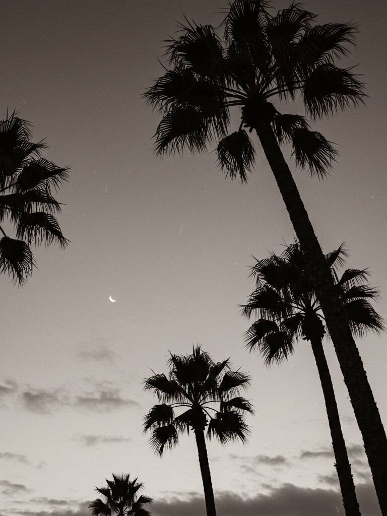 V_Saturday-Creative-Gallery-03