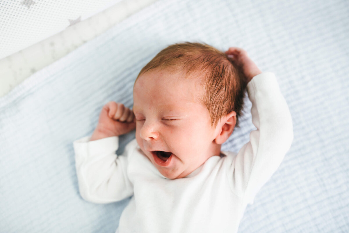 belmont newborn photographer-75