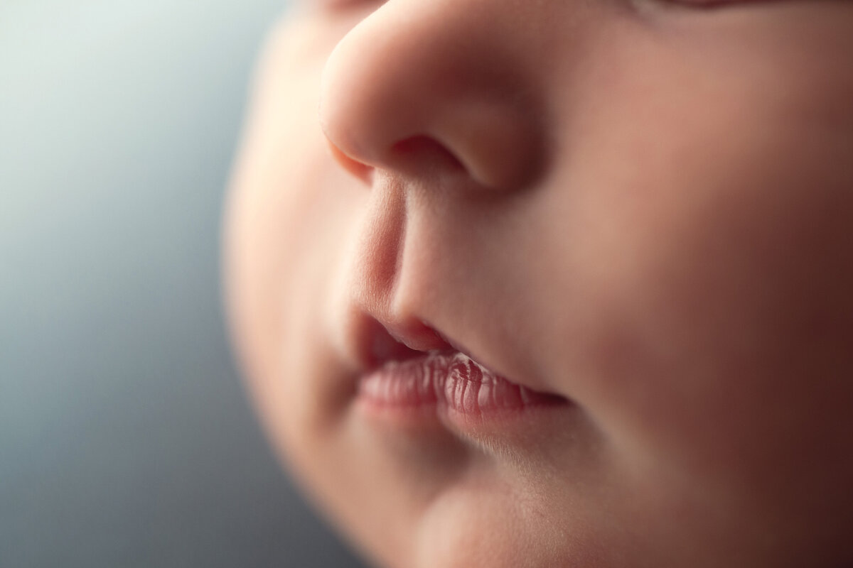 Newborn Photos in Collingwood Ontario (5)