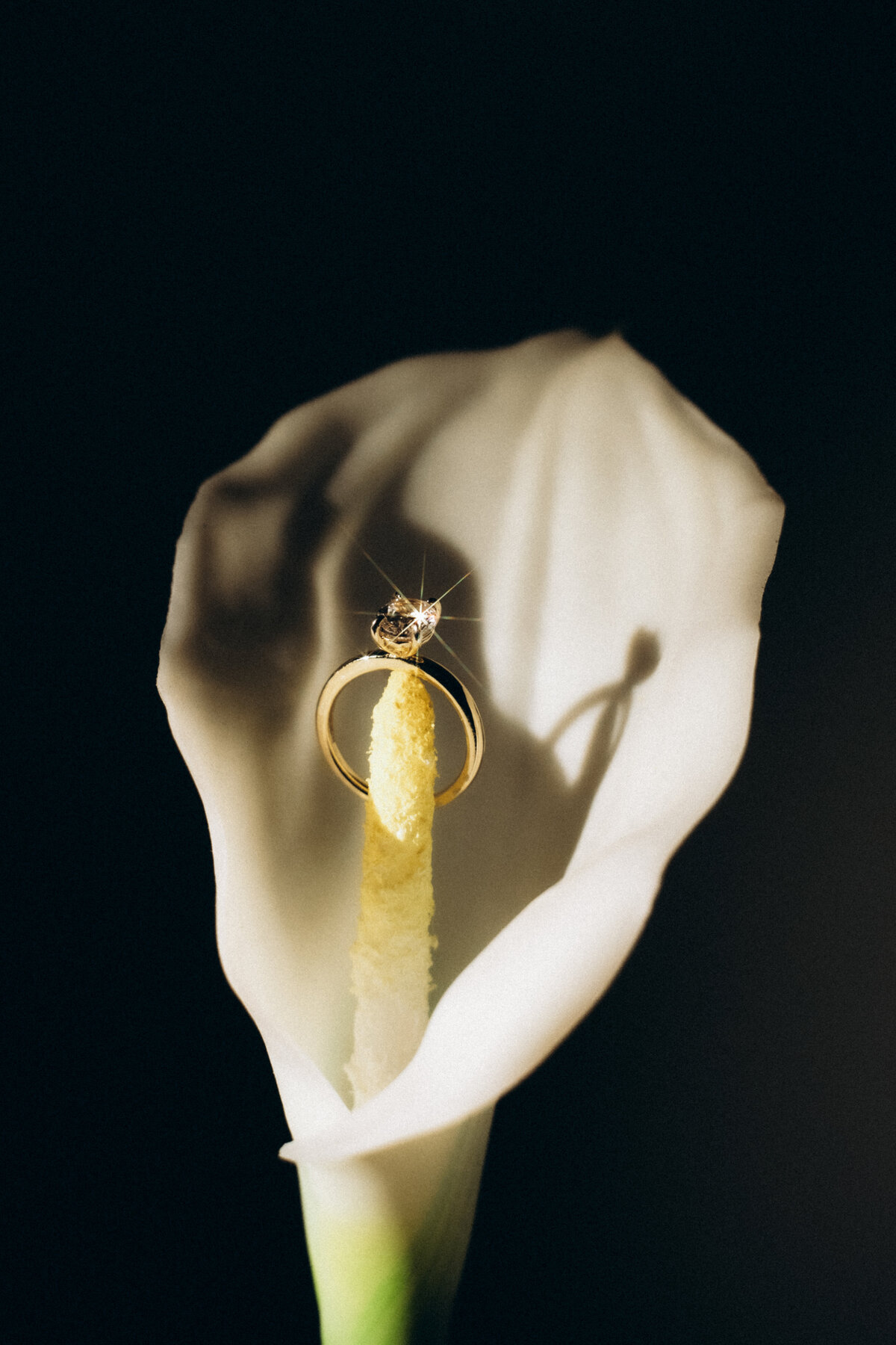 WhispersOfTheGardenFilm-104