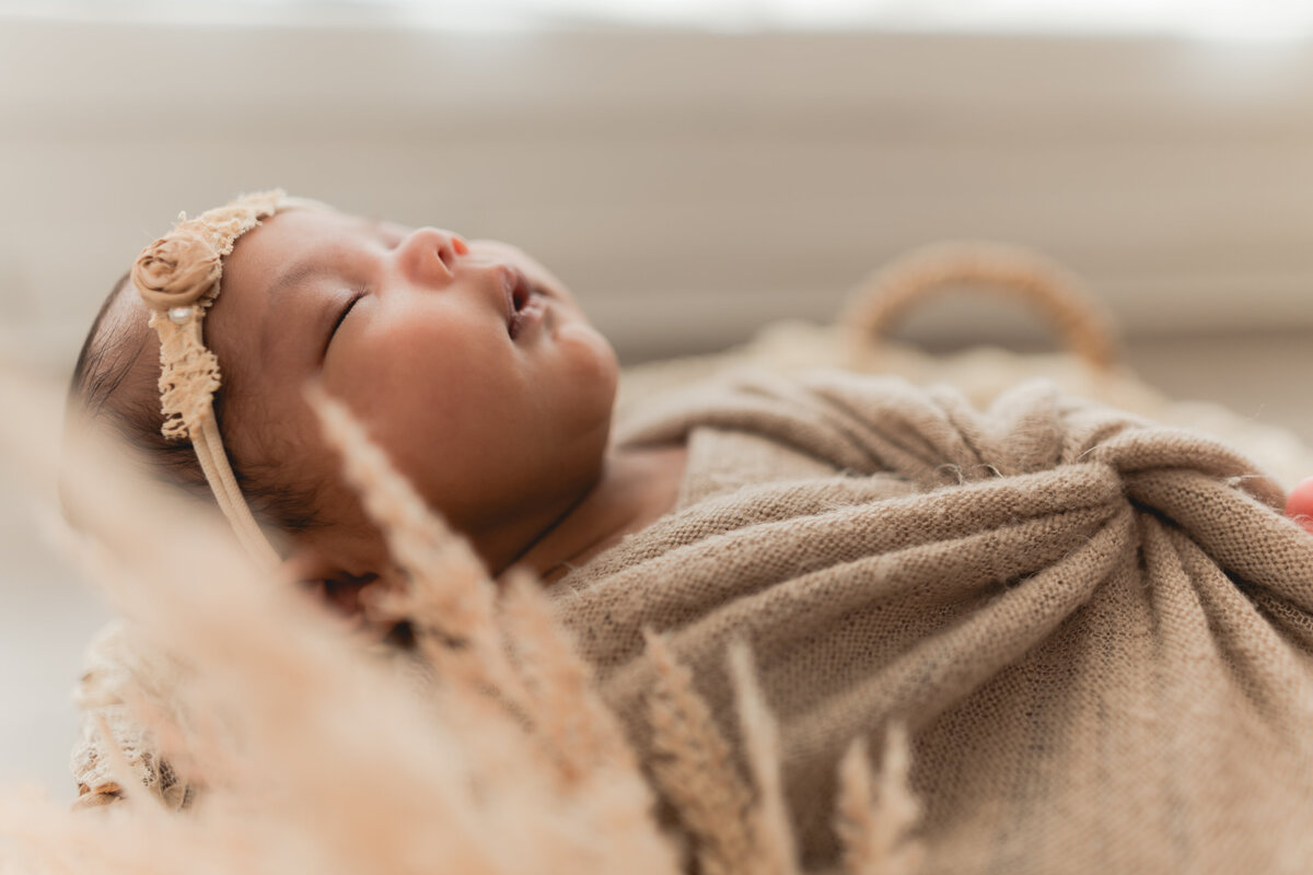 Elizabeth Priniski Madison Newborn Photogapher - Surya-4