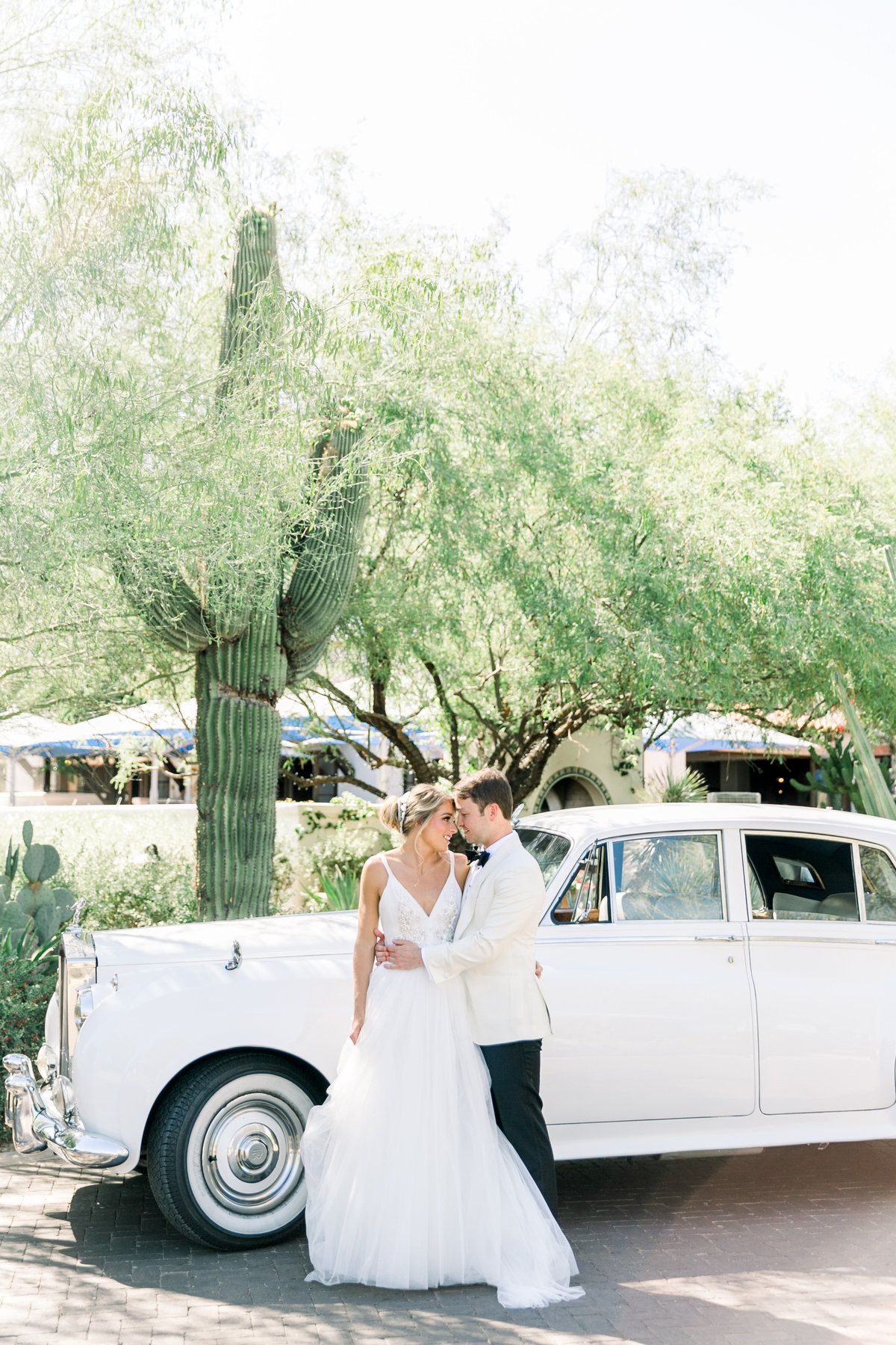 Karlie Colleen Photography - El Chorro Arizona Desert Wedding - Kylie & Doug-302