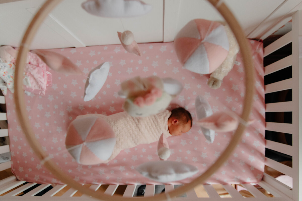 Elizabeth Priniski Madison Birth Newborn Photographer-18