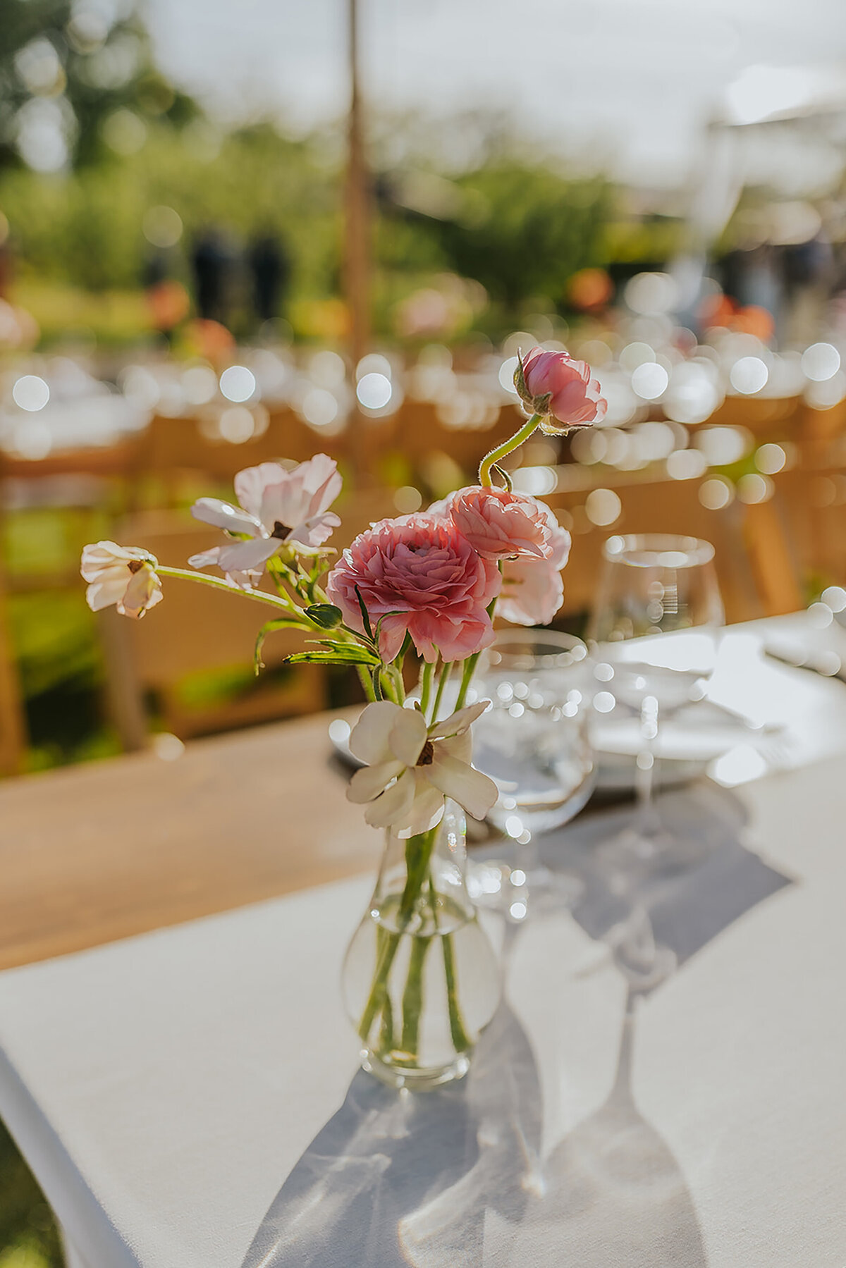 Pink Carnations and Pink Butterfly Ranunculus