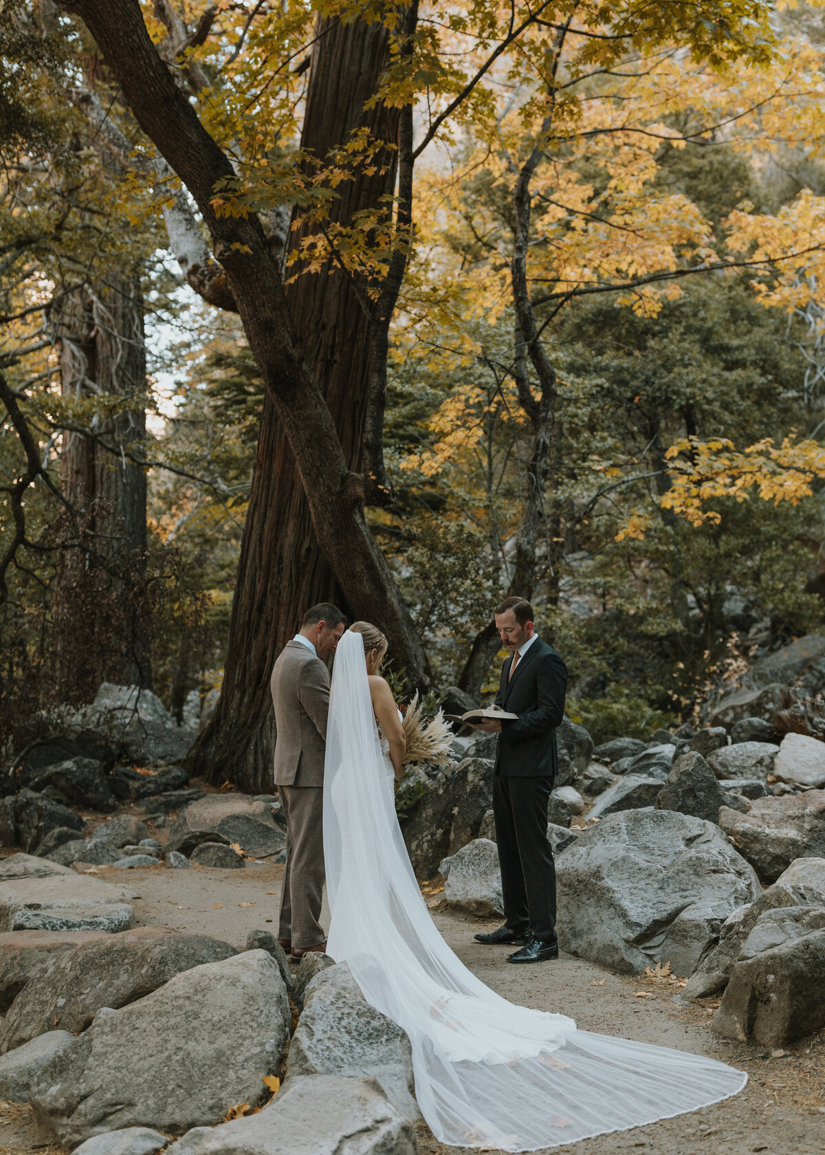 Yosemite National Park Elopement-66