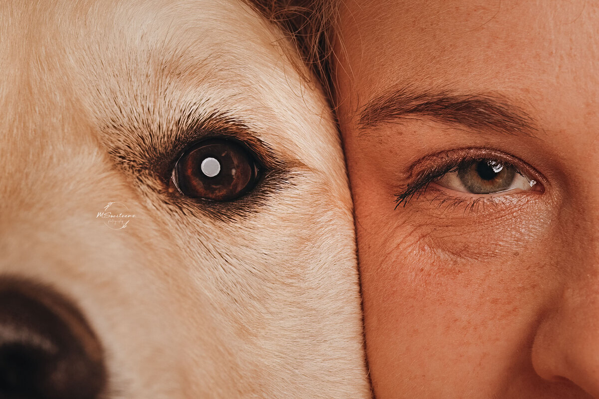 Close up ogen foto met golden retriever en baasje tijdens een hondenfotoshoot bij MSwitsersphotography te Geel, België