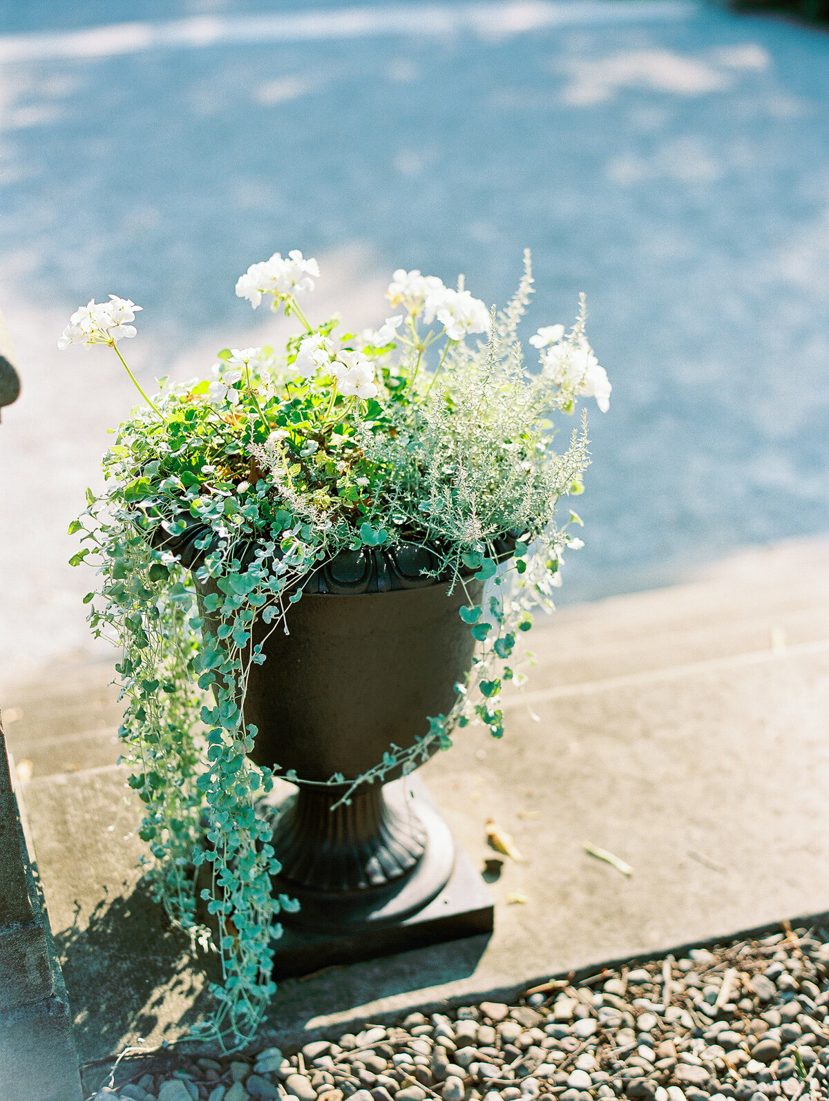 KatieTraufferPhotography-EvaandMaxWedding-10004