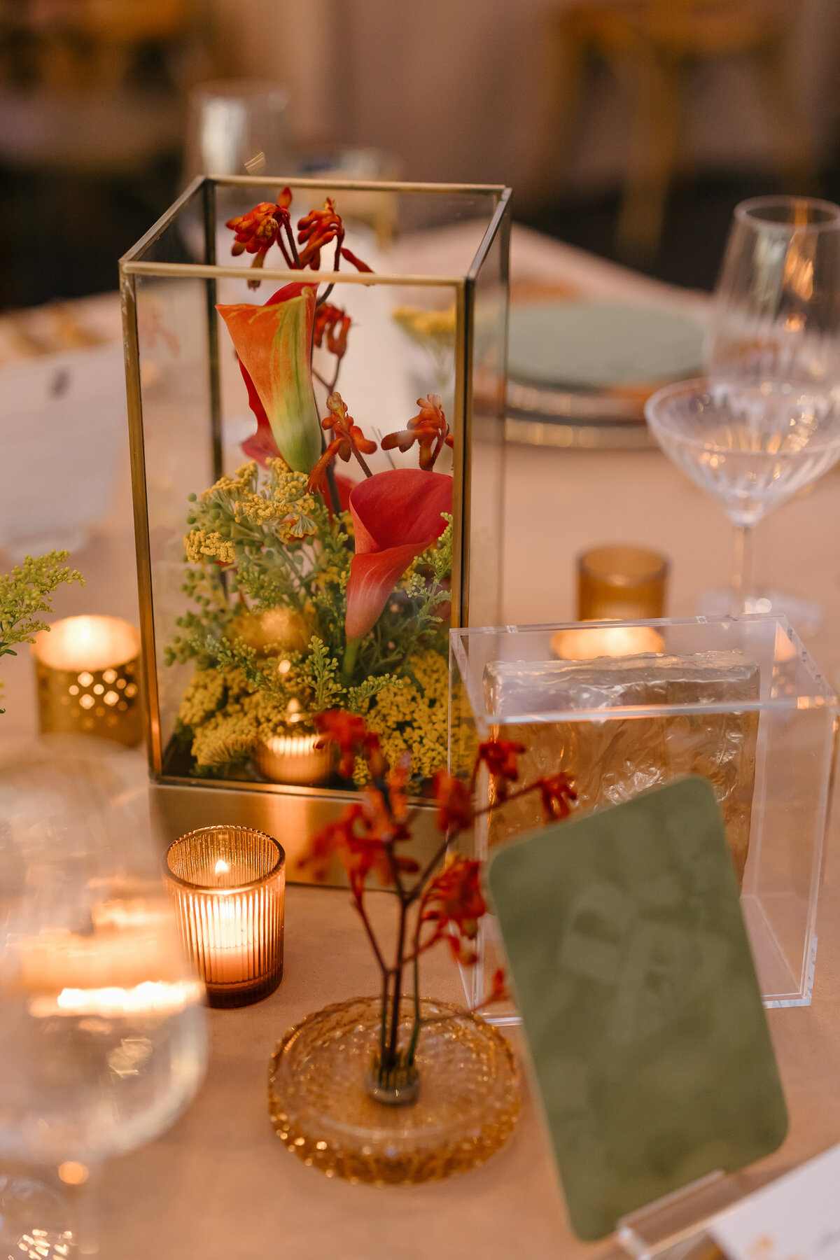 Dine+Parlare-047