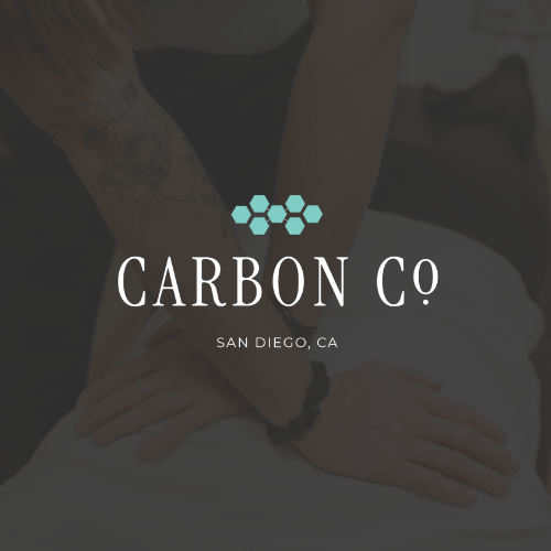 Custom Chiropractic Logo Design - HerPractice