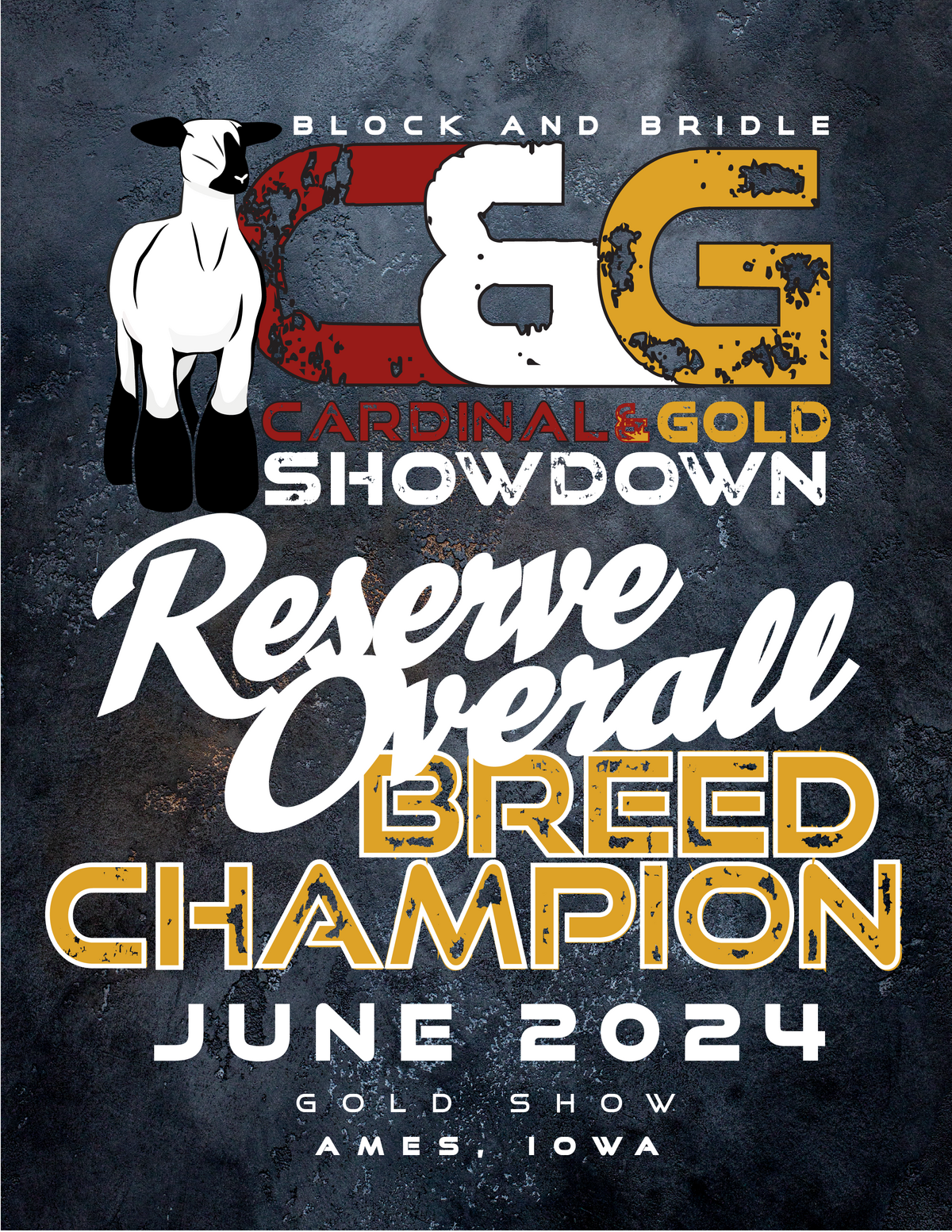 C&G Banners-03