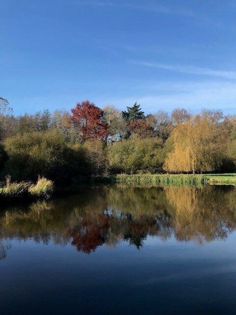 automne