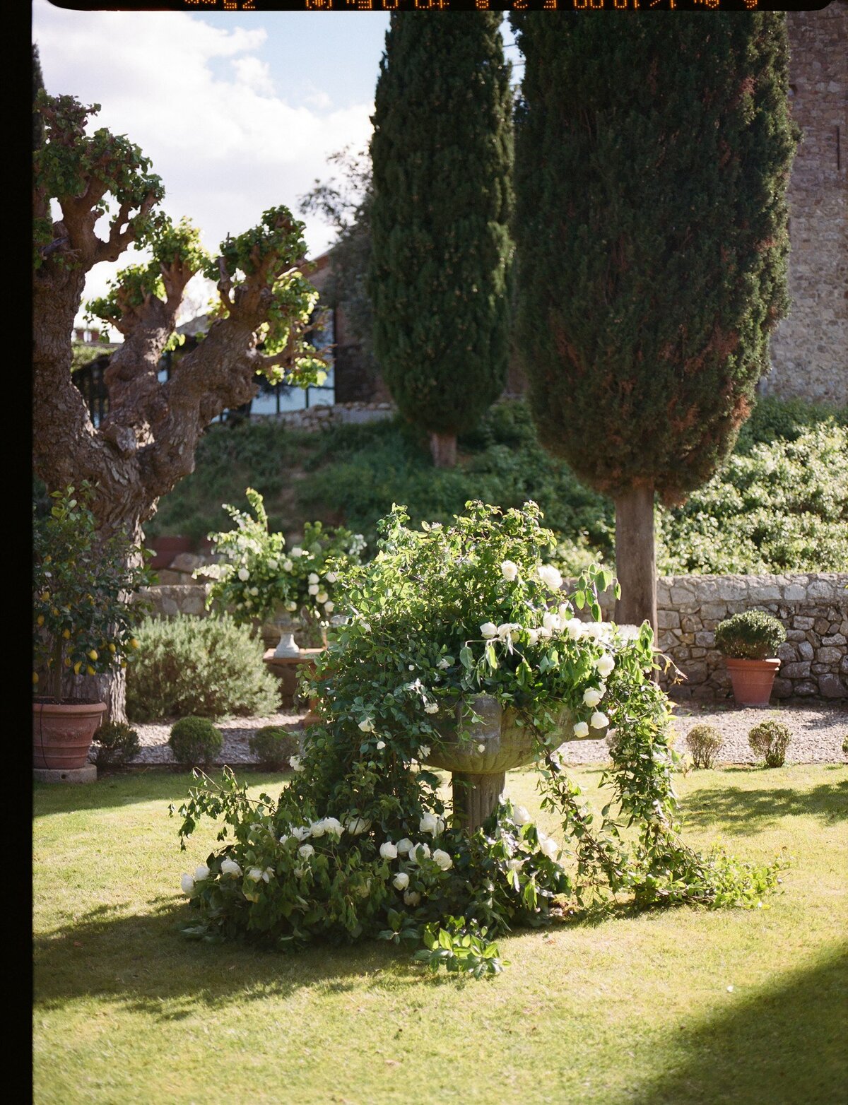 image20
