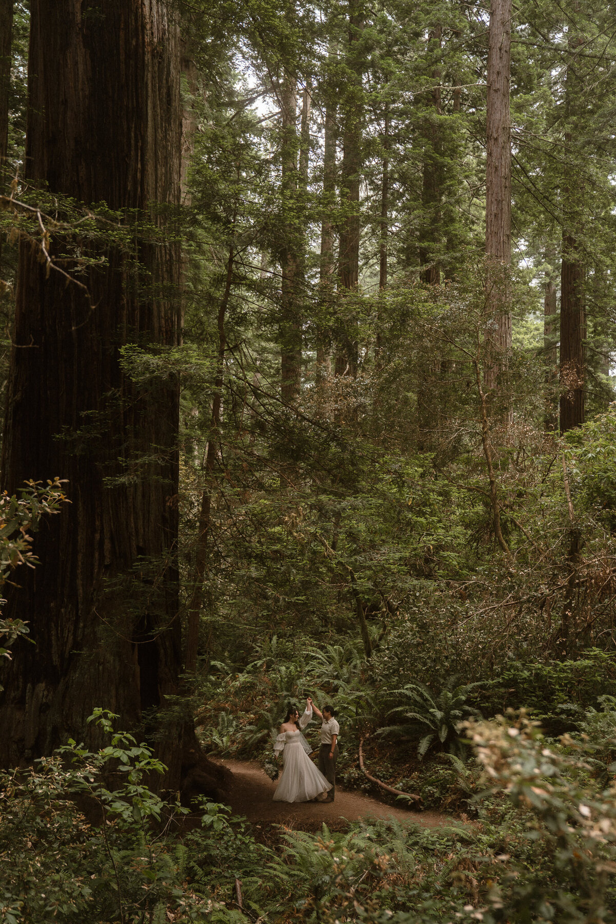 Smoke&theSea - Redwood Elopement-32