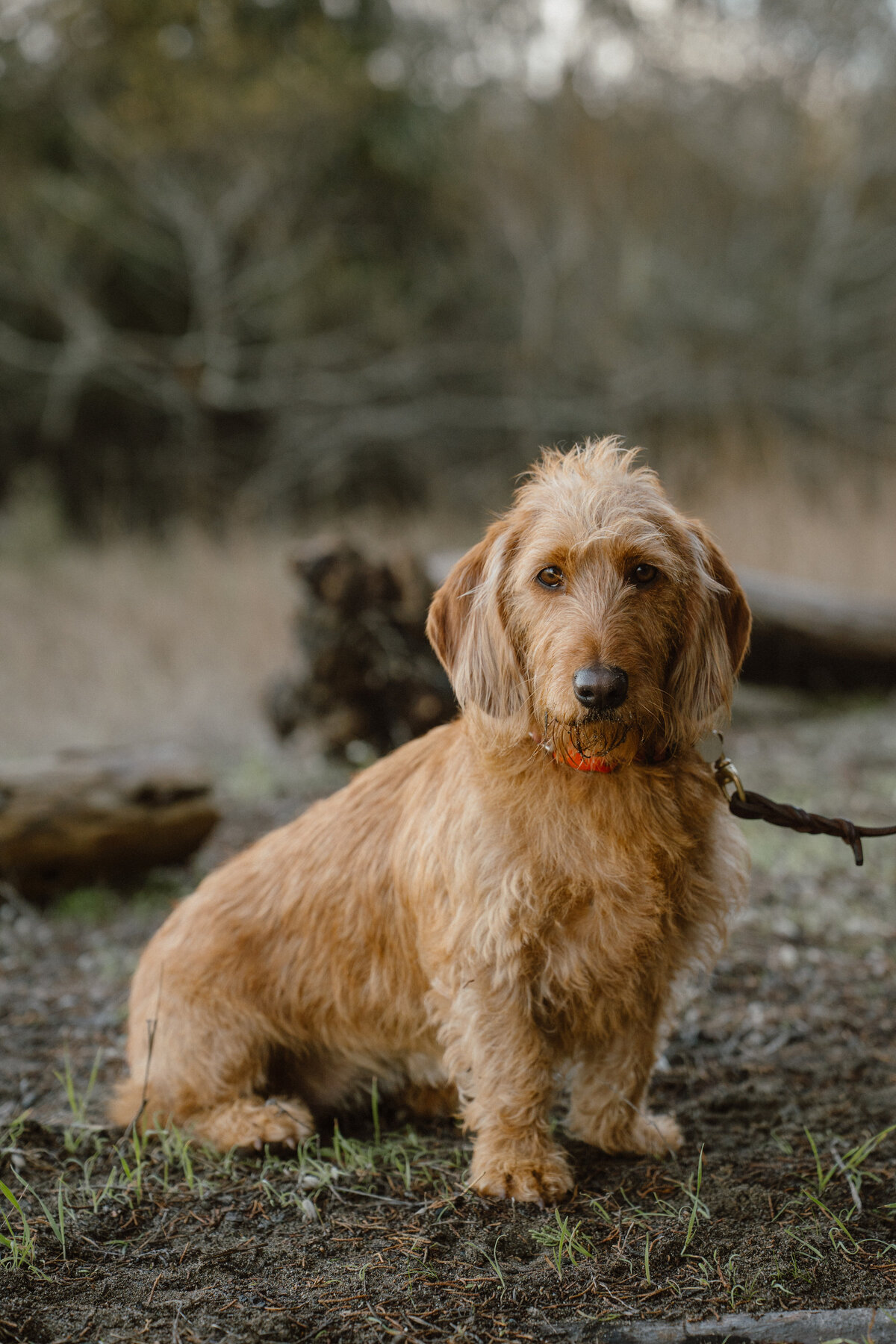 Nas_Adam_Sonoma_Coast-33