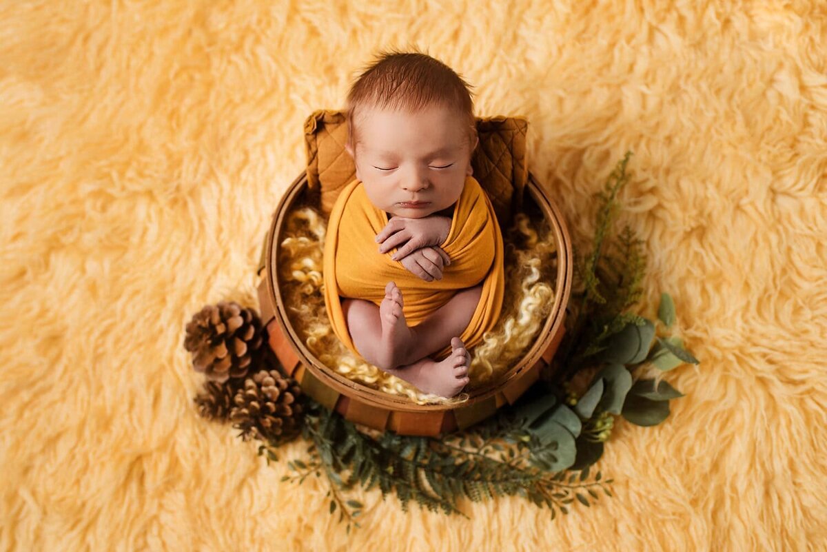 mobile-in-home-newborn-photography-vancouver-fraser-valley_baby-boy-yellow-sunshine-basket-wrap