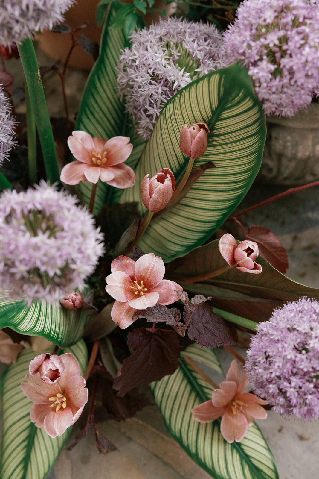 agriffin-events-estate-wedding-summer-emilygudephoto-dc-32