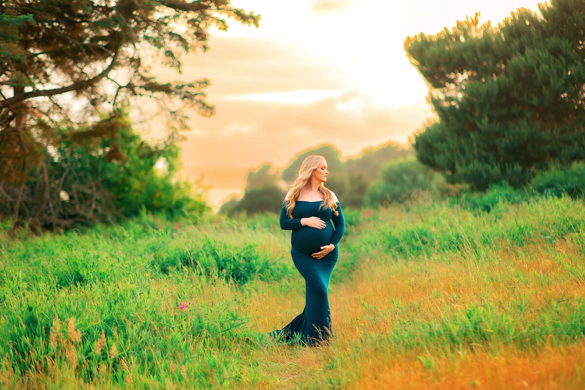 Chicago maternity client closet