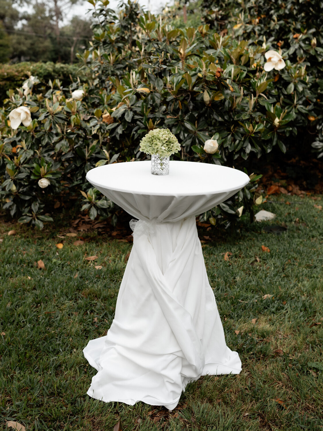 Austin Texas Wedding Photographer
