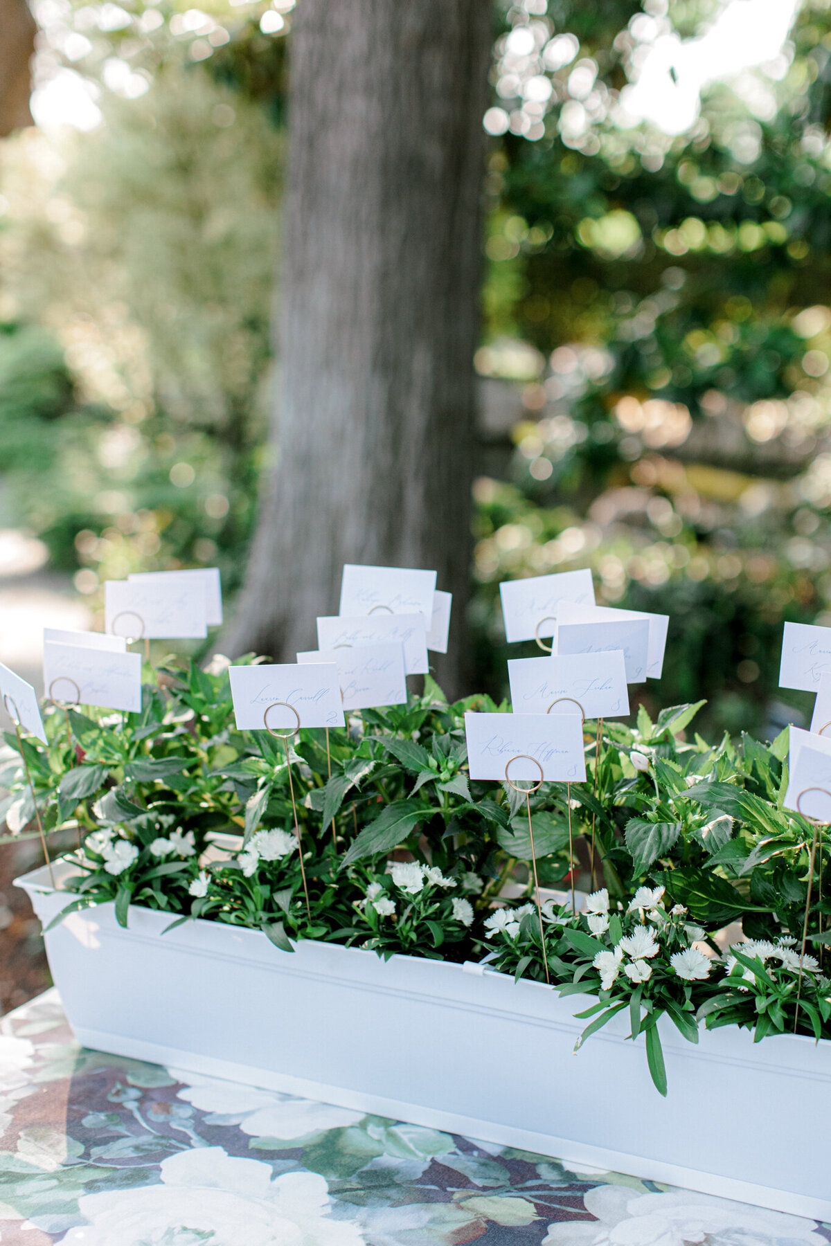 Gena & Matt's Wedding at the Dallas Arboretum | Dallas Wedding Photographer | Sami Kathryn Photography-181