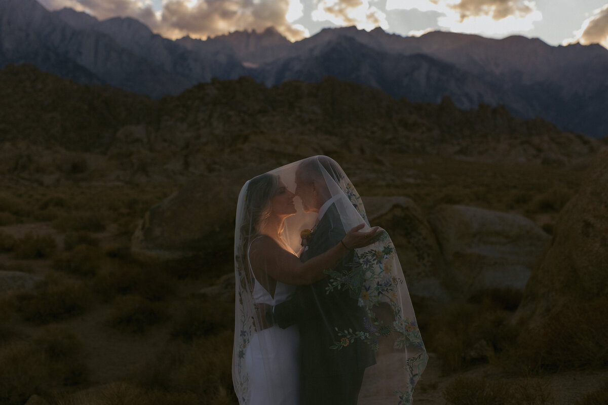 Desert Born Studios - Sierra Neveda- Elopement-48