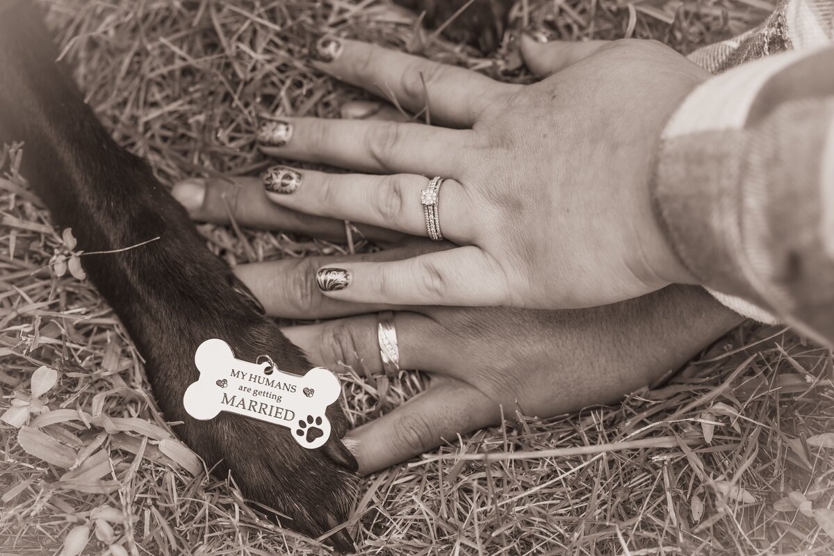 Brogun & Savanah Engagement Photo - DVX10082 - B&W
