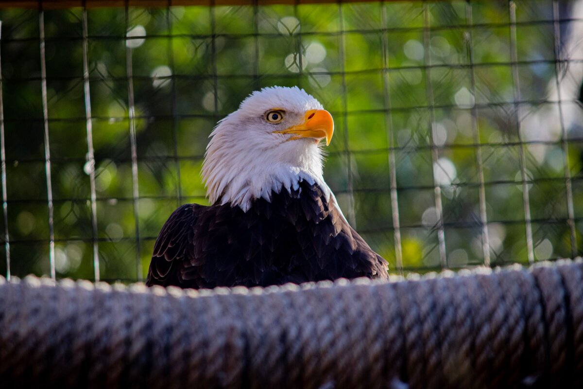 IMG_2043-7f6c3eb3-2500