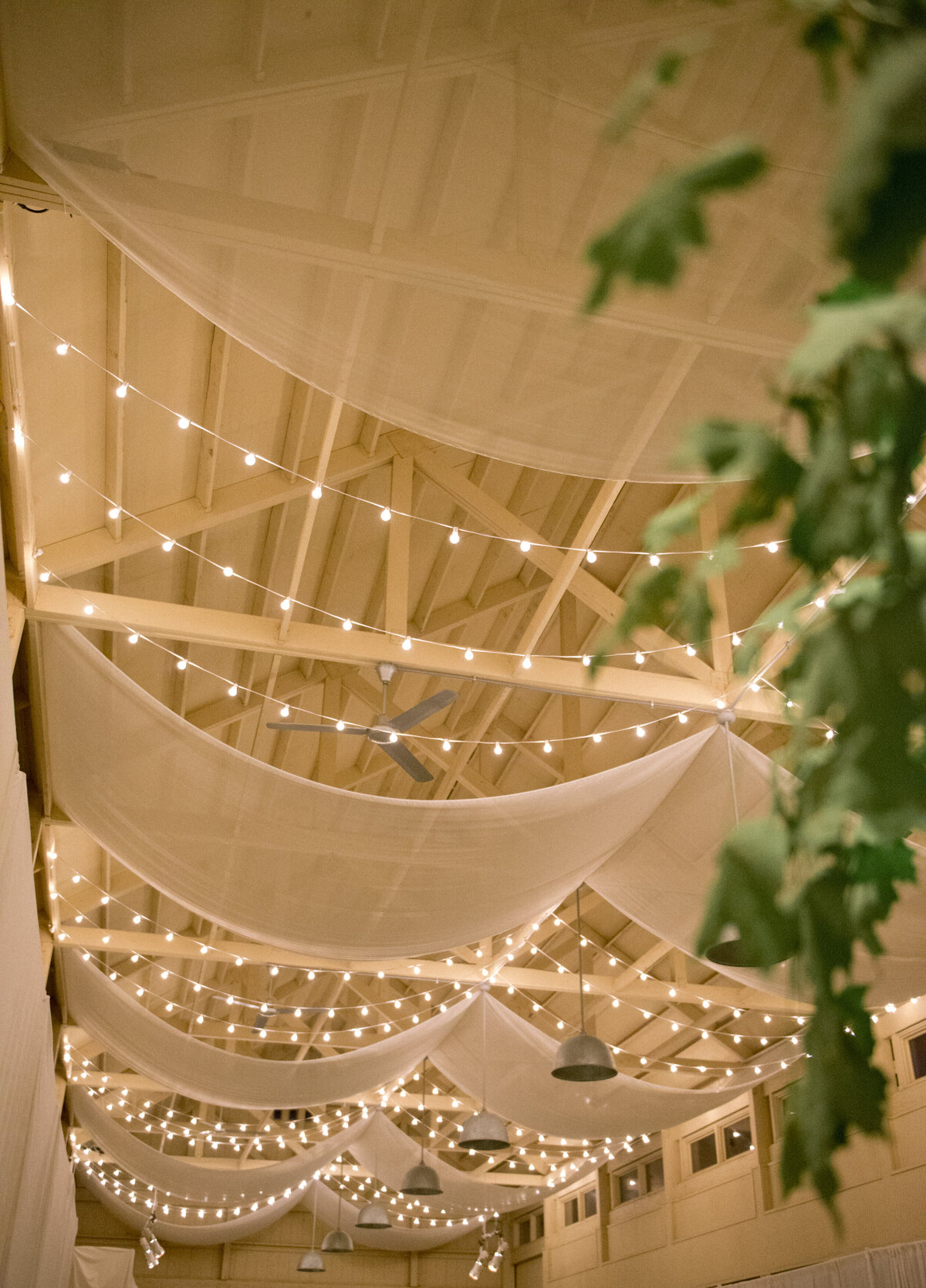 estate-wedding-draping-lights-barn
