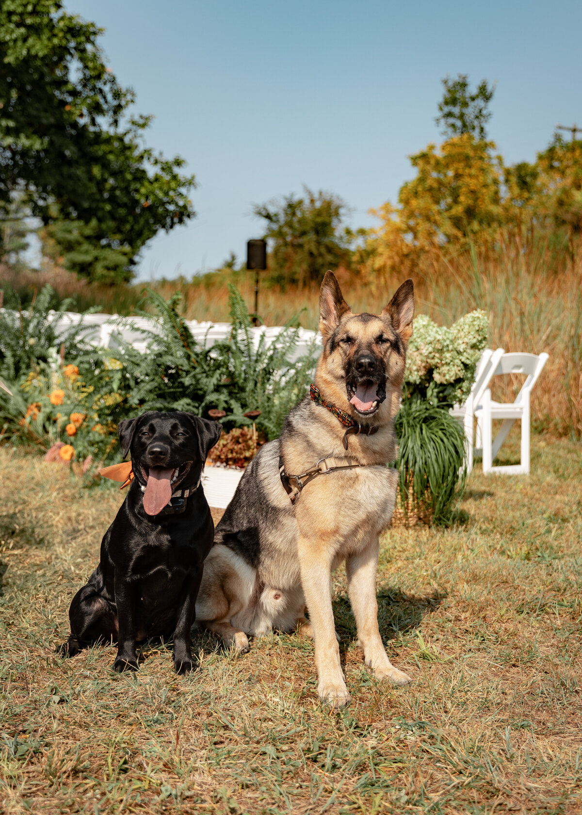Toledo Outdoor Tent Wedding Venue