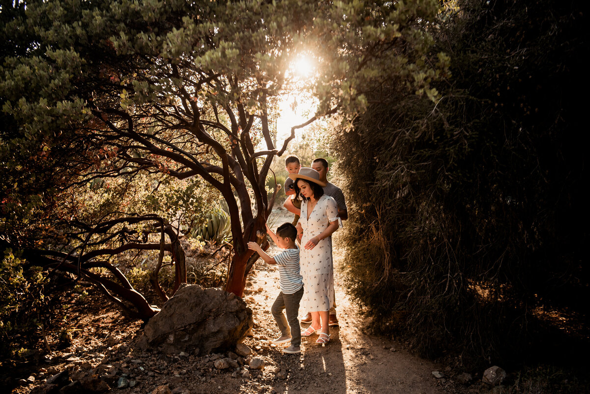 Lets Spread Beauty Photography and Design_For Print-1-2