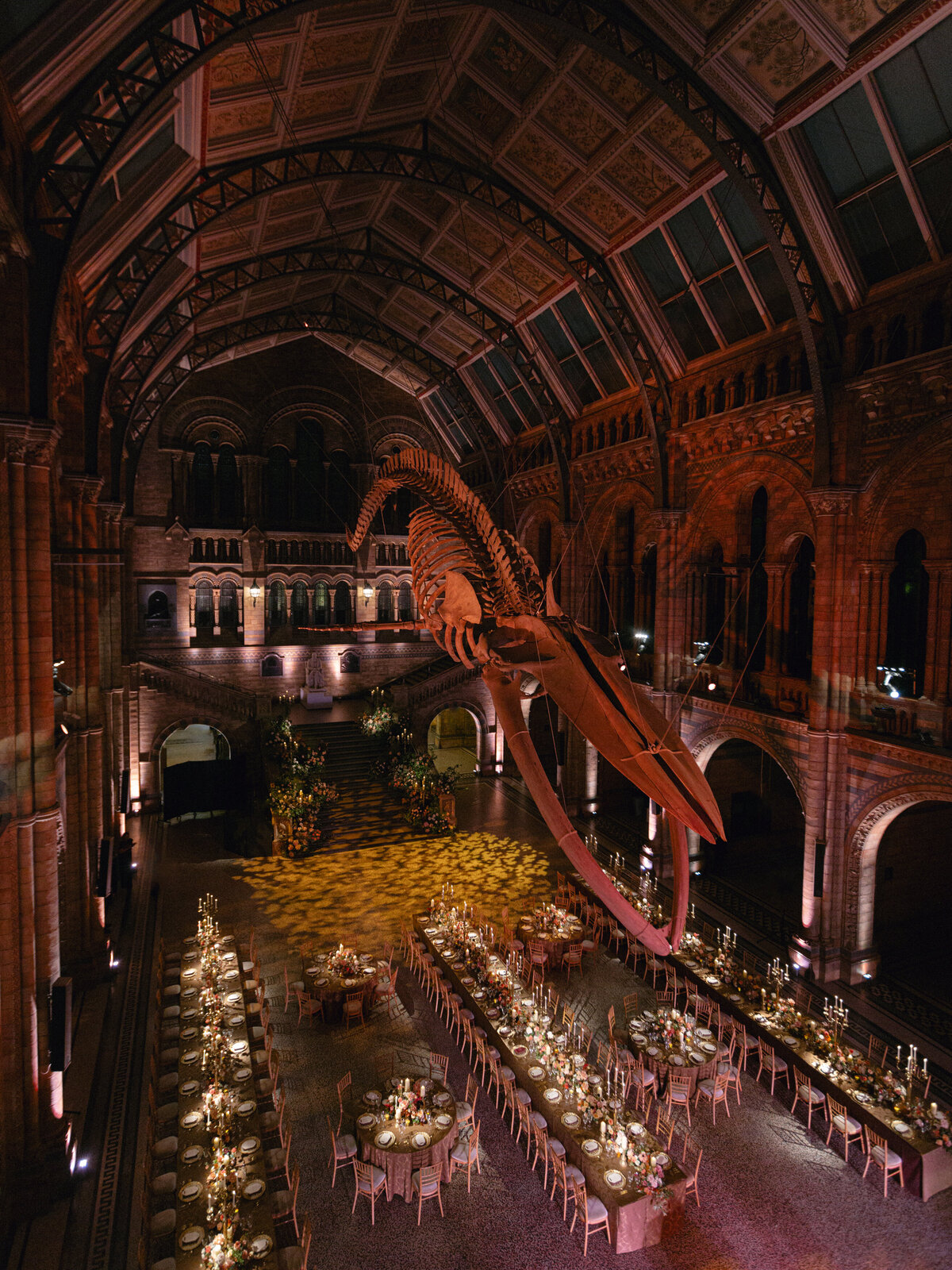 nhm-christine-morgan-Holly Clark Photography -612