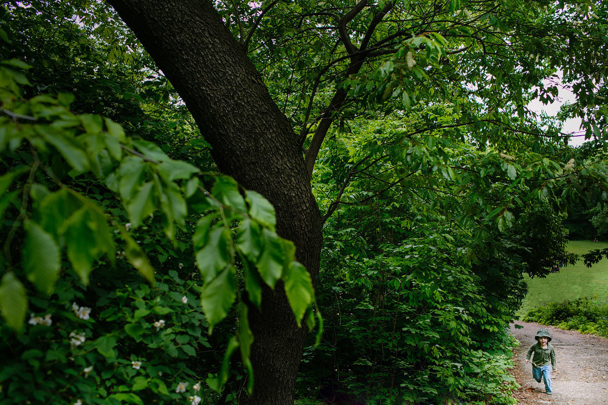 RubinDulongFamily_119