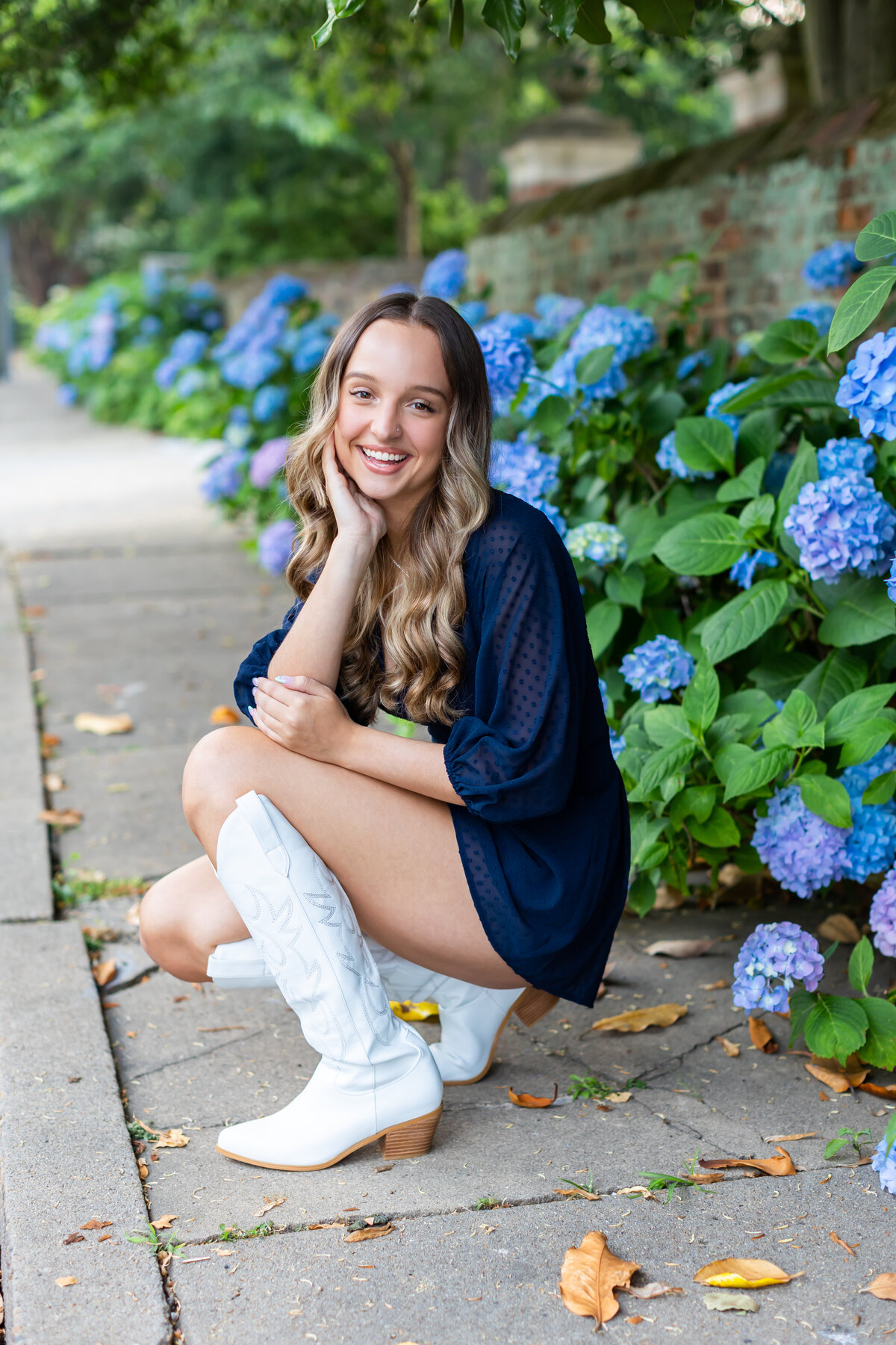 Hydrangea flower photoshoot00006