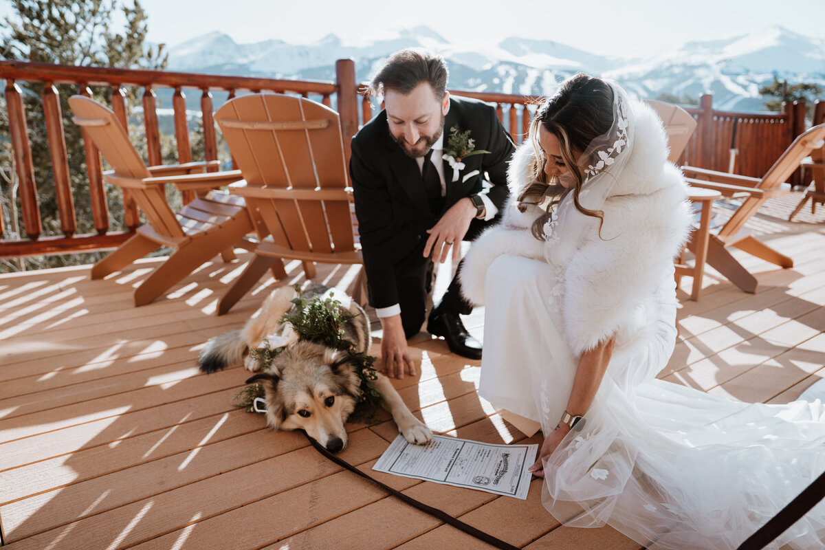 Dog lies beside marriage license during snowy mountaintop wedding at the Lodge at Breckenridge.
