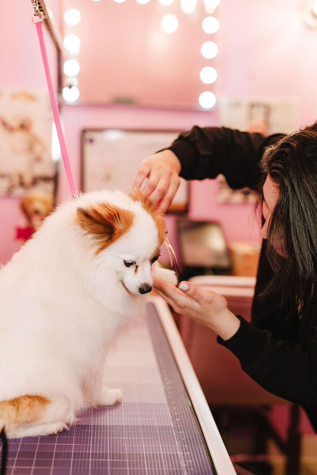 05.14hillfamilypetcare-344