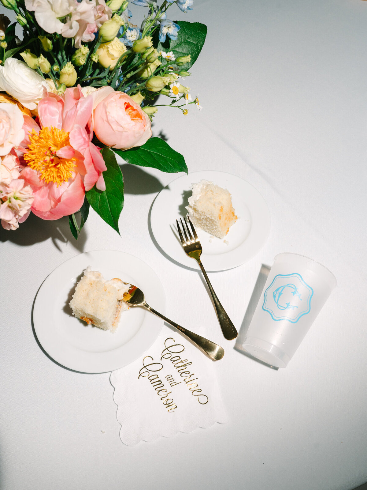 cat-cameron-wedding(956of1096)