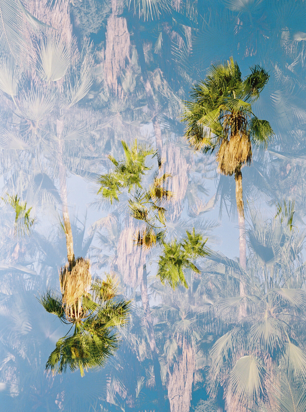 sarah-lord-photo-tropical-5