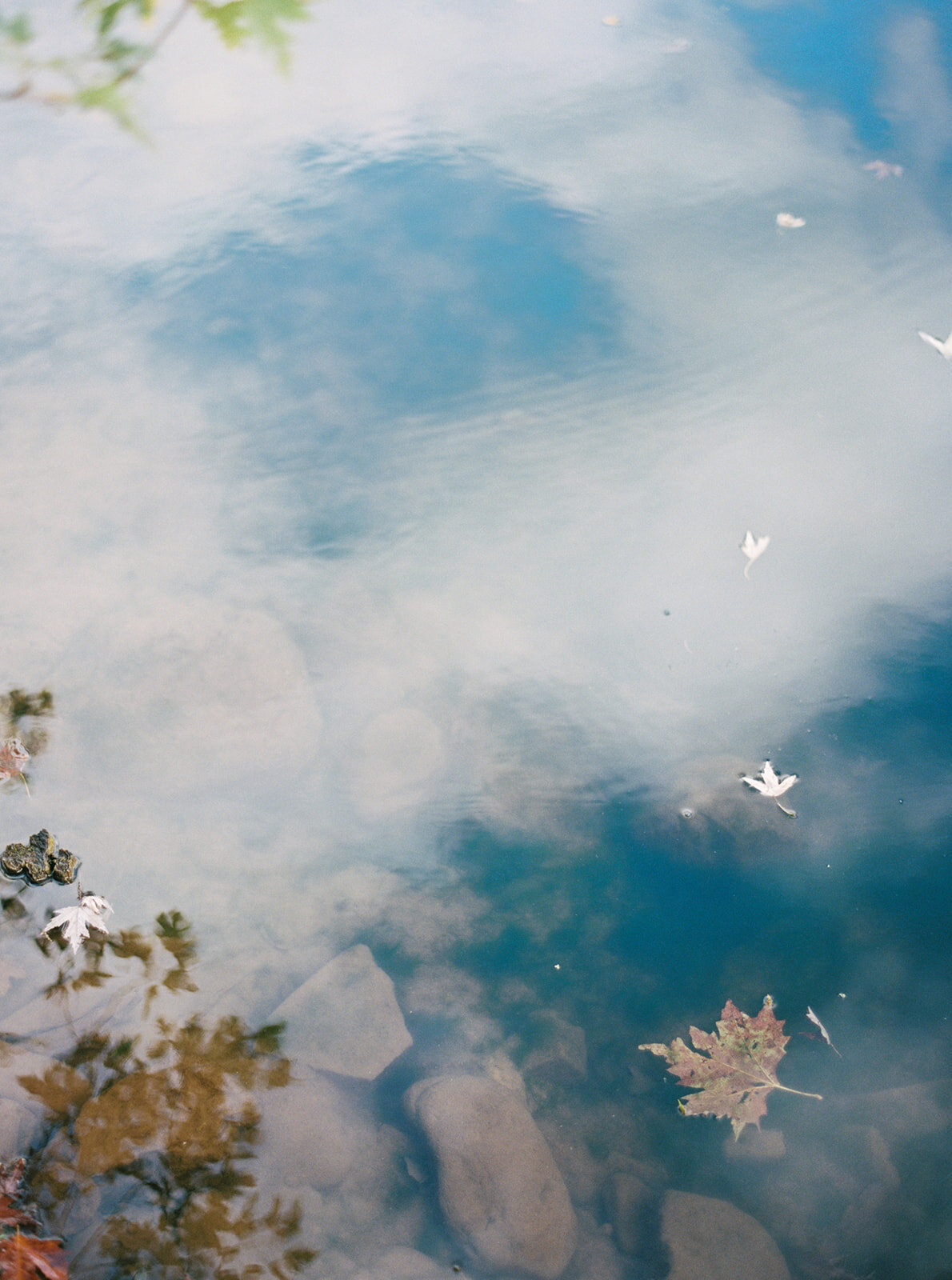 MichelaWatsonPhotography_PatrickandPhilemWedding-4_websize