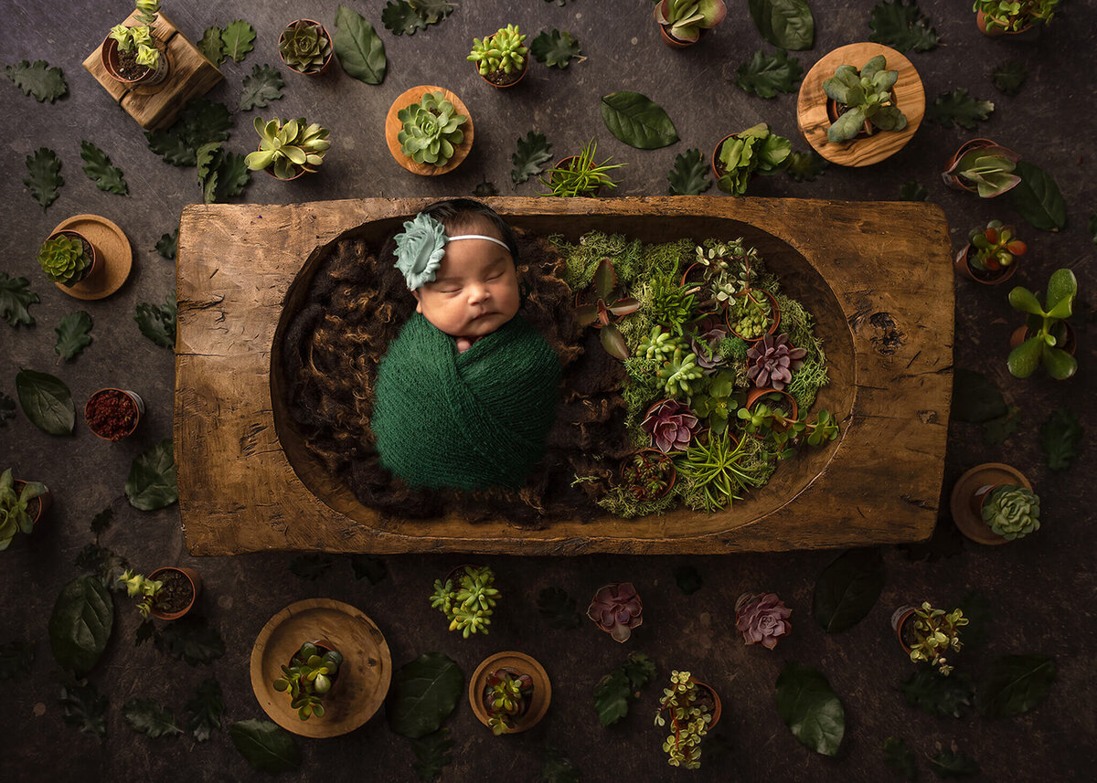 newborn  in photo with plants