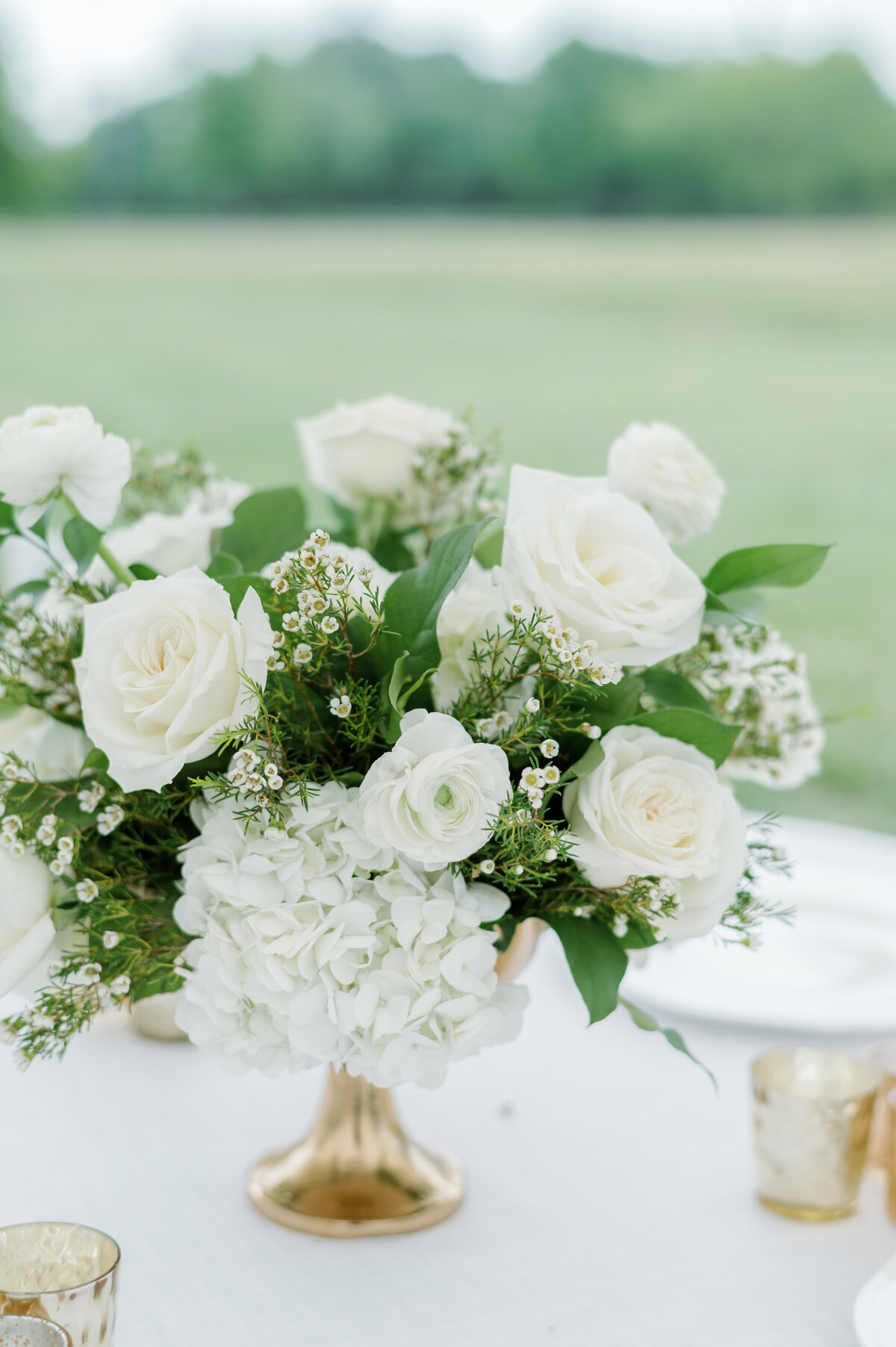 Megan Noll  Buck - Reception-1