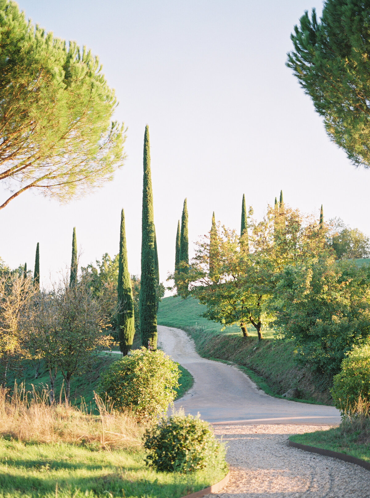TuscanyLaurenFair