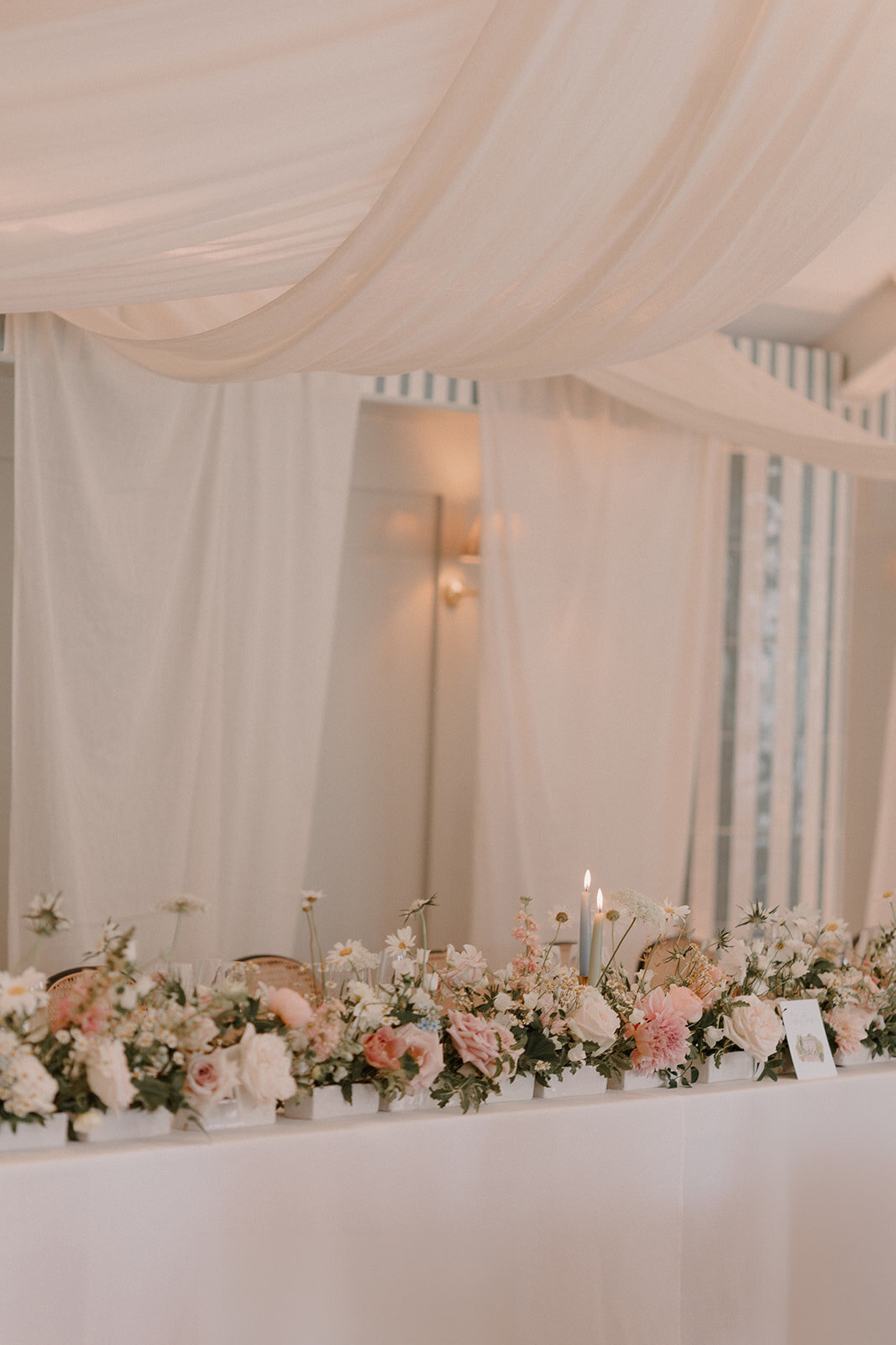 THE TOASTS_MOR25985