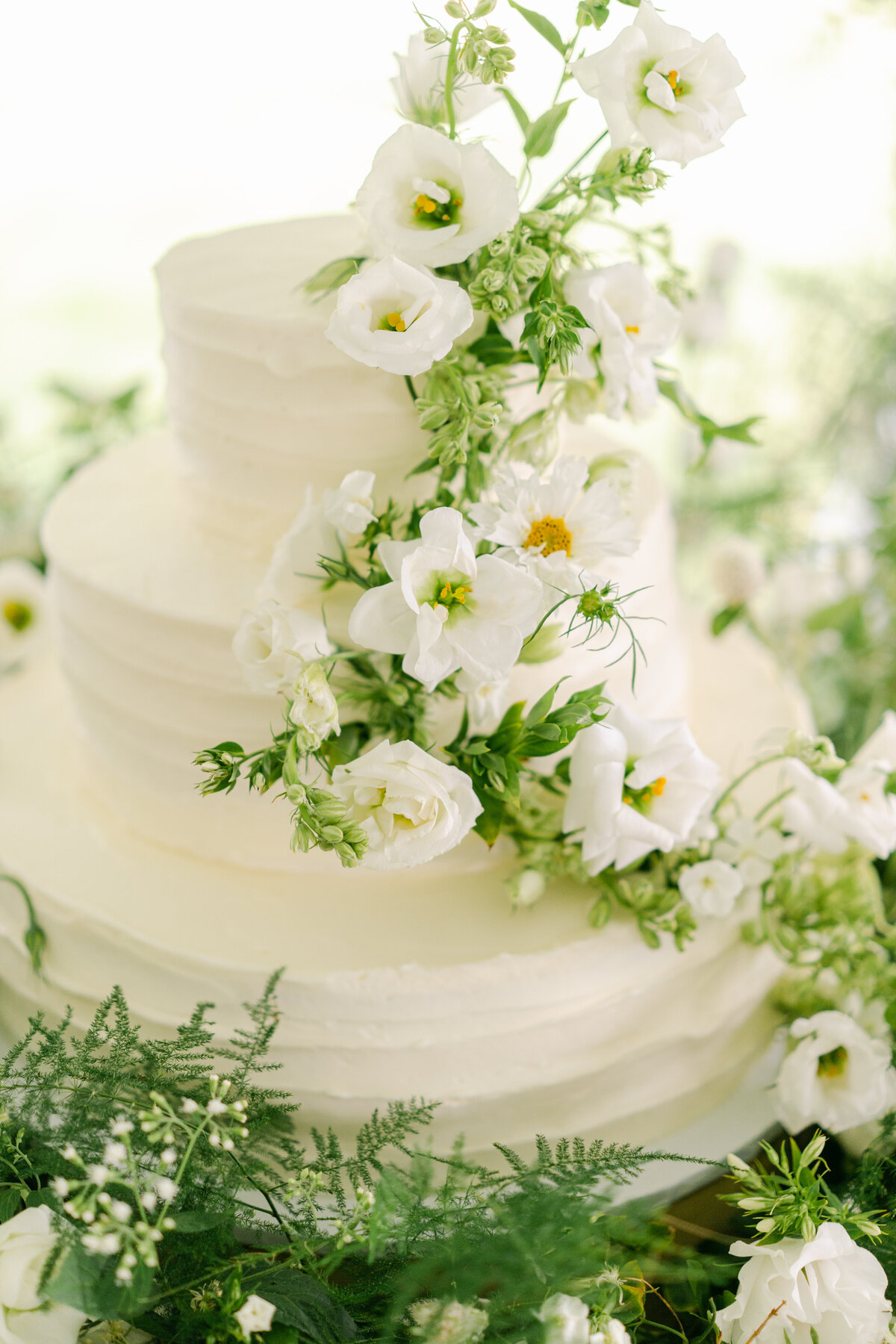 M&V Wedding Gallery-783