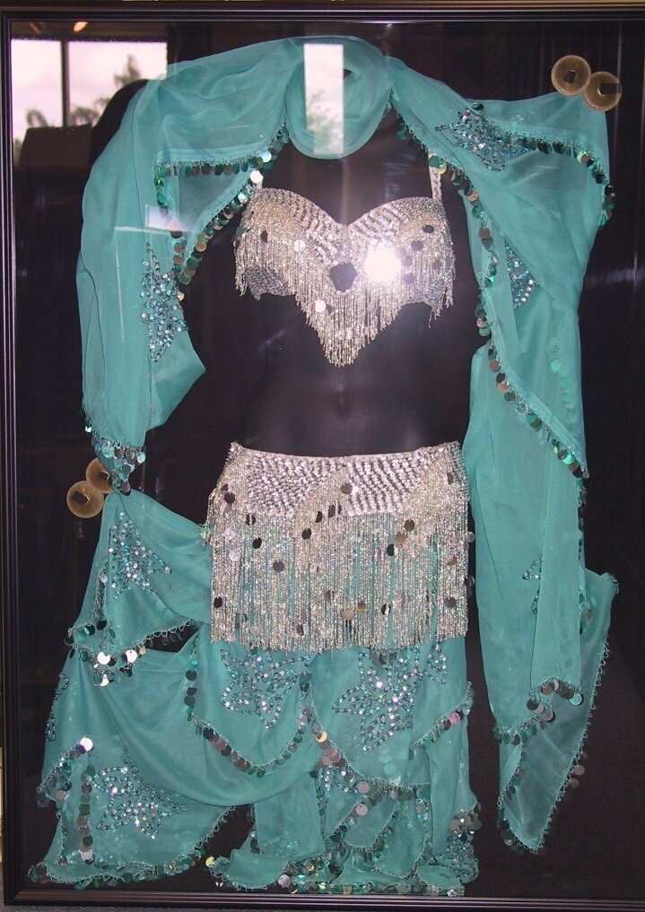 Belly Dancer Costume