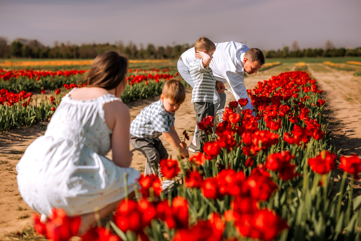 Melissa Moyers - Tulip Mini Session-9
