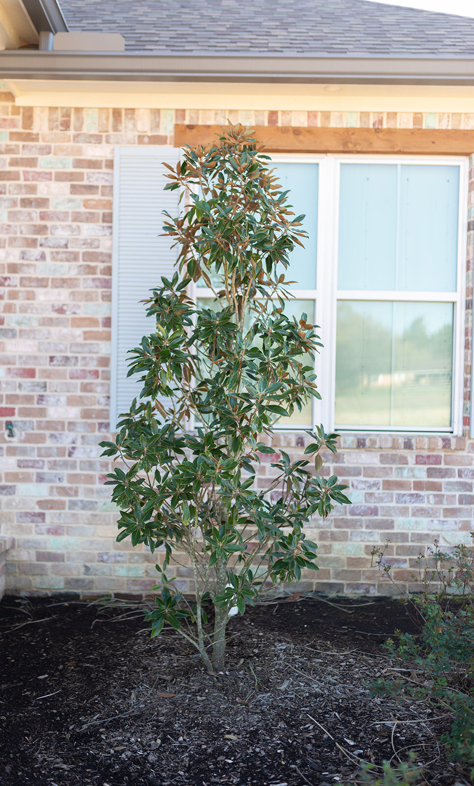 waggoner_custom_homes_march_2023_x_Libby_Lea_Creative-81_websize