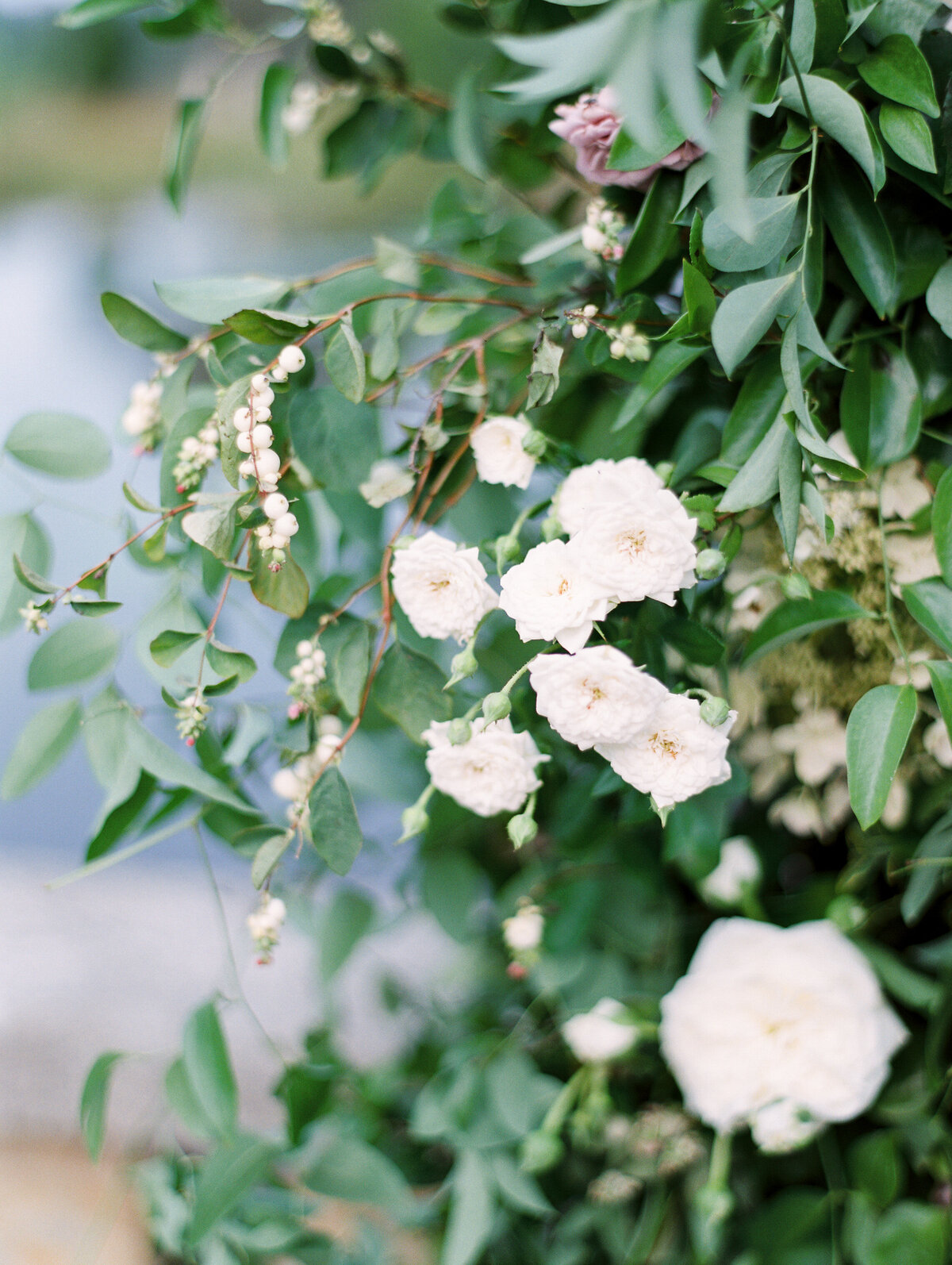 villa-catalana-cellars-wedding-35